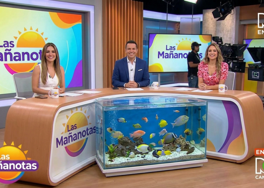 Fish on rcn las mañanotas