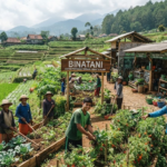 Binatani.com